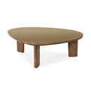 Mesa de centro triangular Oani de 46" de nogal y cristal
